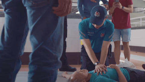 Singapore Police Force: In Parallel